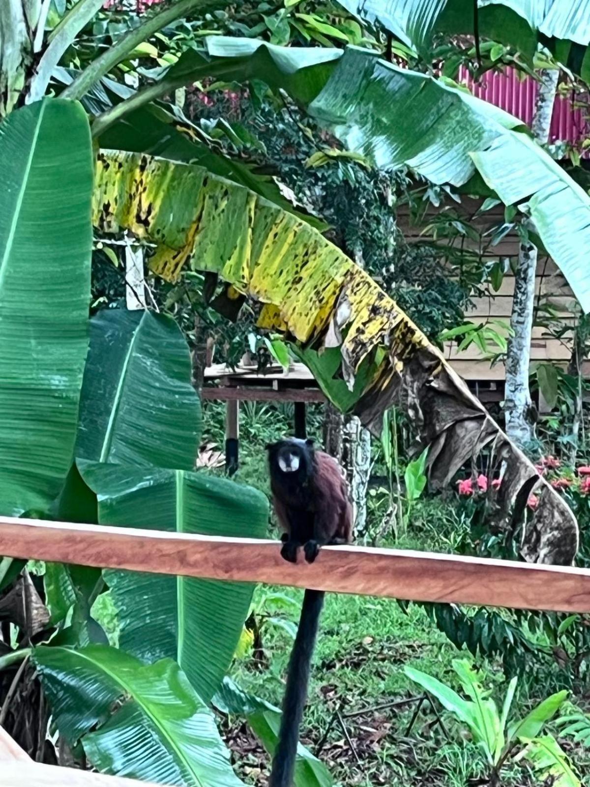 Purachata Ecolodge Икитос Экстерьер фото